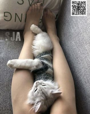 亚洲成av人在线视达达兔_BD韩语免费播放